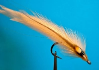 Bullet shape Bullet shape