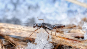 A good place A good place