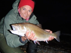 Brook trout in the dusk Brook trout in the dusk