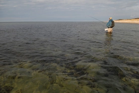 Clear water, blue sky Clear water, blue sky