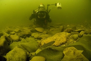 David underwater David underwater