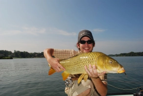 Bonefish of the freshwater Bonefish of the freshwater