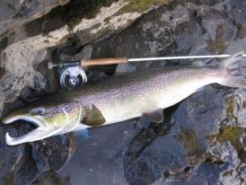 Never ending Never ending