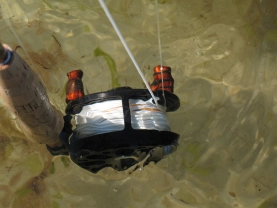 A salty rinse! A salty rinse!