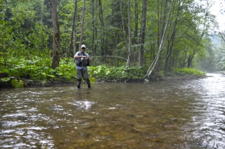 First brown trout fight First brown trout fight