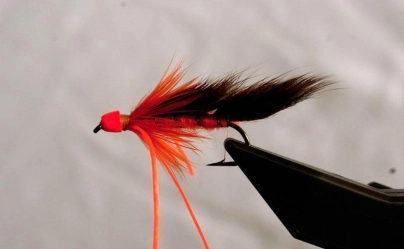 Step 20 - trim tail Step 20 - trim tail