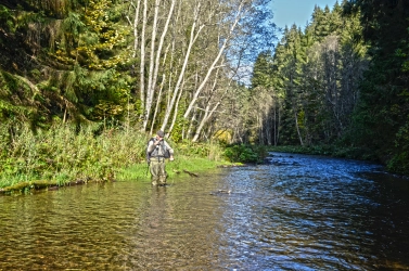 Almost landed Almost landed