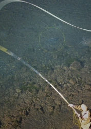 Not interested! Not interested!