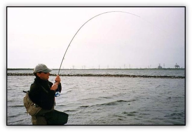 Strong fish Strong fish