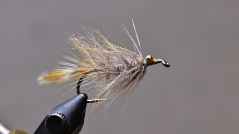 Slaughter variant Slaughter variant