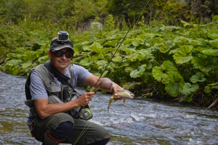 Brown trout were almost everywhere Brown trout were almost everywhere