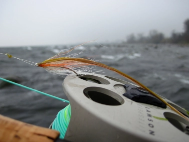 It's got the look It's got the look