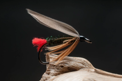 Red Tag Wet Red Tag Wet