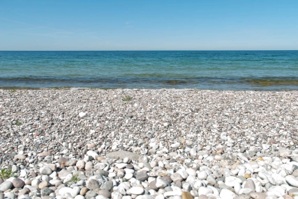 Mullet water Mullet water