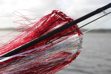 Almost a flag Almost a flag