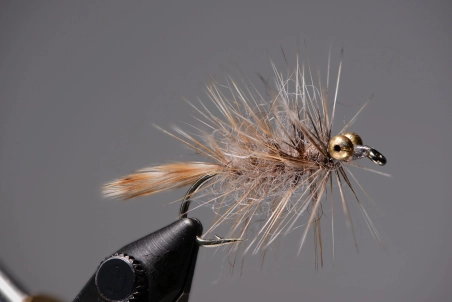 Butcher Fly Butcher Fly