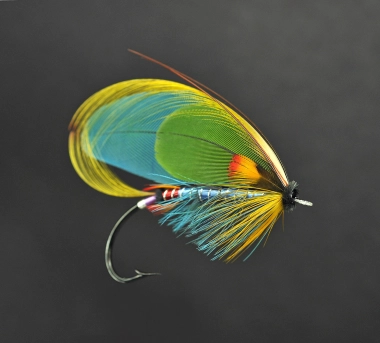 Quinchat frontal view Quinchat frontal view