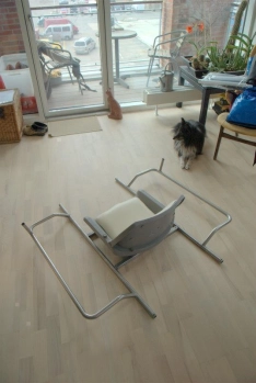 First step First step