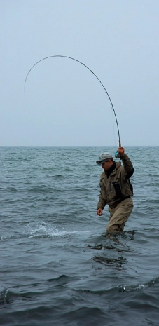 Another horseshoe Another horseshoe