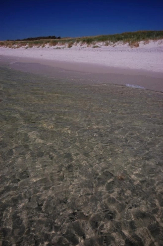 Not the tropics Not the tropics