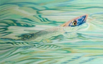 Eyes of November Eyes of November