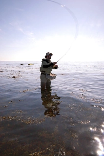 Long and bendy Long and bendy