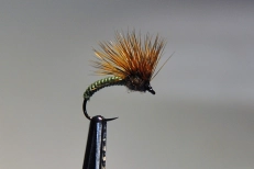 A dandy emerger. A dandy emerger.