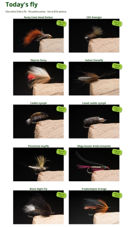 Today's Fly Today's Fly