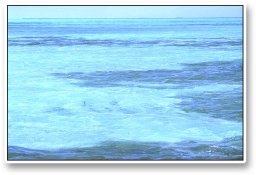 Tarpon.... eh... there! Tarpon.... eh... there!