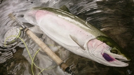 Untitled 1 Untitled 1