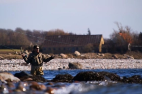 Compressed perspective Compressed perspective