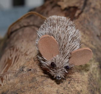 Small black eyes Small black eyes