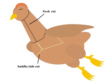 Breast view Breast view