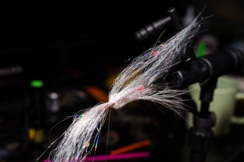 Bottom bunch Bottom bunch