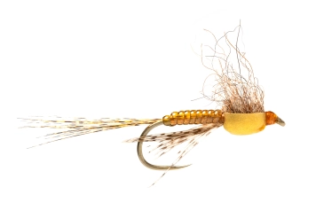 The profile The profile