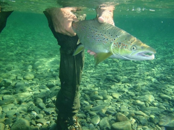 Underwater Underwater