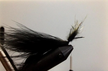 Step 2 - marabou Step 2 - marabou