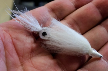 Large but not gigantic Large but not gigantic