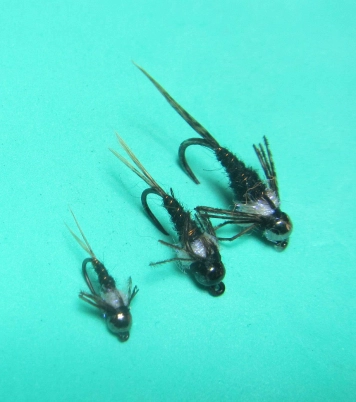 Different sizes Different sizes