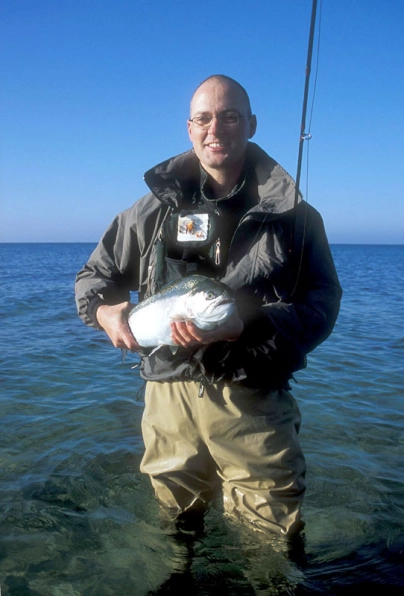 The author The author