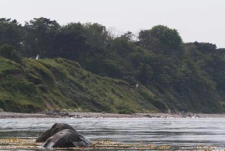 Close to the surface Close to the surface