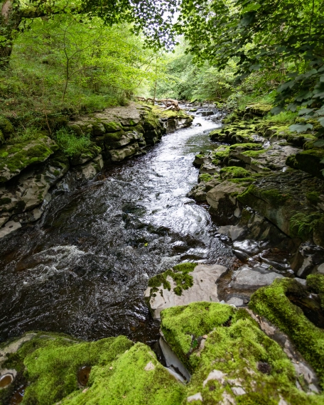 The canyon The canyon