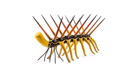 Hallucigenia reconstruction Hallucigenia reconstruction