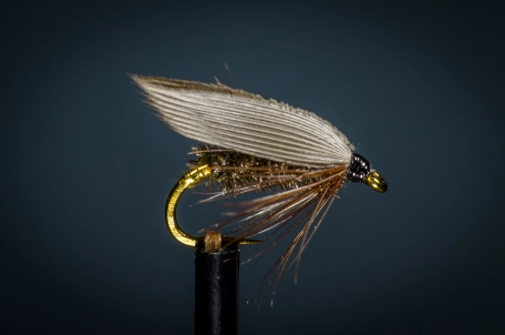 Leadwing Coachman Leadwing Coachman