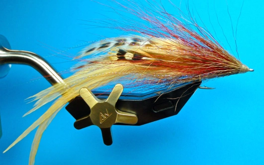 Das Brown/Yellow Cephalopod Das Brown/Yellow Cephalopod