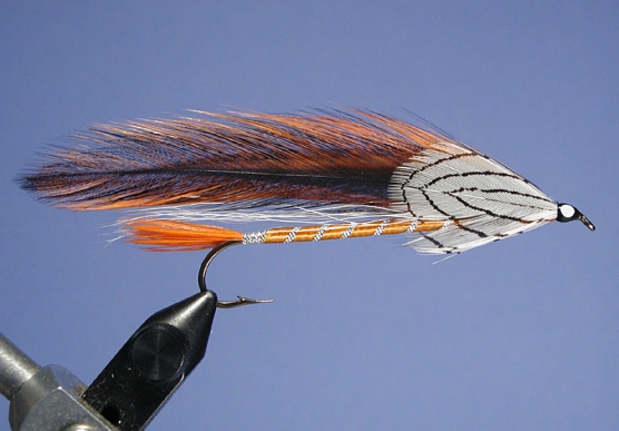 Butches Phantom Butches Phantom