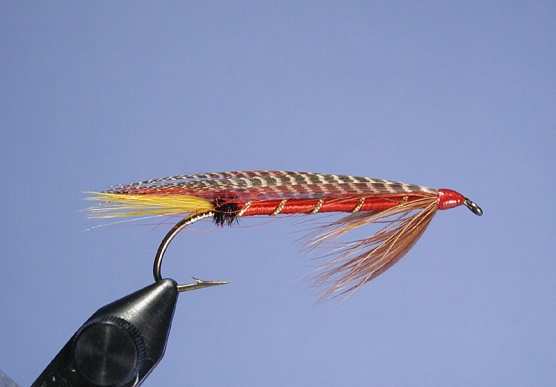 Canadian Killer Canadian Killer