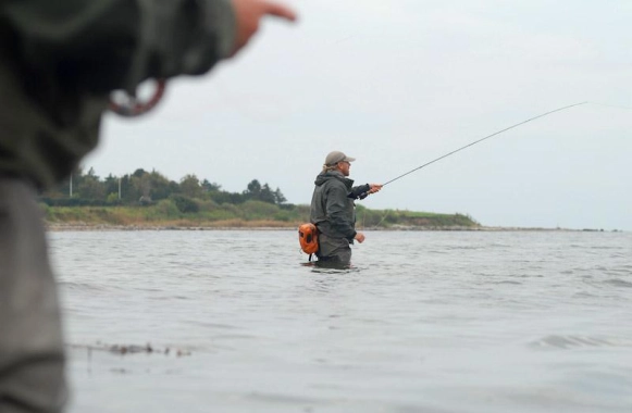 Foreground angler Foreground angler