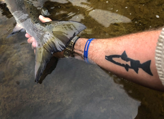 The rudder The rudder