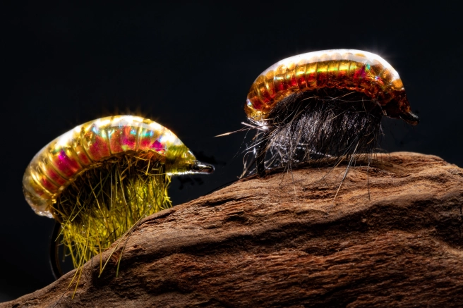 Translucent Translucent